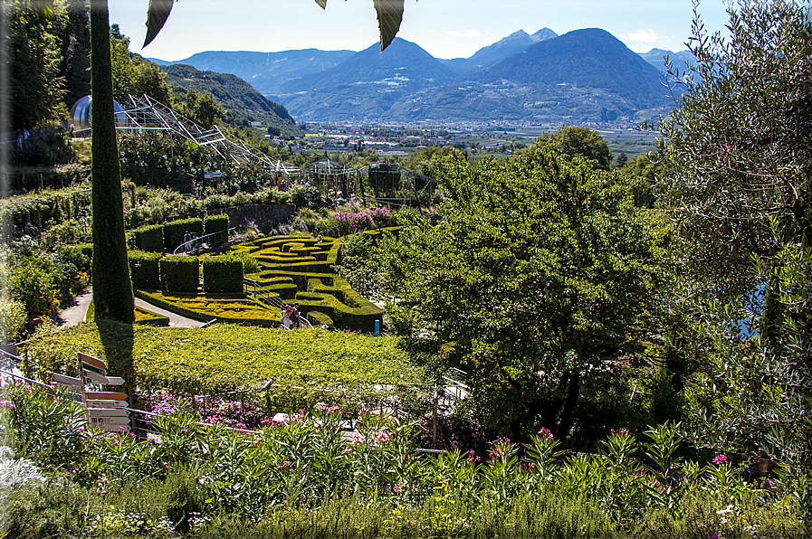 foto Giardini Trauttmansdorff - Giardini del Sole